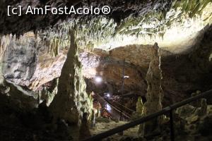 [P47] Peștera Snejanka, Stalactite, stalagmite și coloane în Sala Mare » foto by mprofeanu
 - 
<span class="allrVoted glyphicon glyphicon-heart hidden" id="av1255232"></span>
<a class="m-l-10 hidden" id="sv1255232" onclick="voting_Foto_DelVot(,1255232,25928)" role="button">șterge vot <span class="glyphicon glyphicon-remove"></span></a>
<a id="v91255232" class=" c-red"  onclick="voting_Foto_SetVot(1255232)" role="button"><span class="glyphicon glyphicon-heart-empty"></span> <b>LIKE</b> = Votează poza</a> <img class="hidden"  id="f1255232W9" src="/imagini/loader.gif" border="0" /><span class="AjErrMes hidden" id="e1255232ErM"></span>