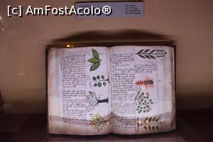 [P15] Yerevan, Matenadaran, Carte despre plantele medicinale, secolul 18 » foto by mprofeanu
 - 
<span class="allrVoted glyphicon glyphicon-heart hidden" id="av1139021"></span>
<a class="m-l-10 hidden" id="sv1139021" onclick="voting_Foto_DelVot(,1139021,26066)" role="button">șterge vot <span class="glyphicon glyphicon-remove"></span></a>
<a id="v91139021" class=" c-red"  onclick="voting_Foto_SetVot(1139021)" role="button"><span class="glyphicon glyphicon-heart-empty"></span> <b>LIKE</b> = Votează poza</a> <img class="hidden"  id="f1139021W9" src="/imagini/loader.gif" border="0" /><span class="AjErrMes hidden" id="e1139021ErM"></span>