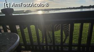 [P17] rezidenți permanenți » foto by robert
 - 
<span class="allrVoted glyphicon glyphicon-heart hidden" id="av1513871"></span>
<a class="m-l-10 hidden" id="sv1513871" onclick="voting_Foto_DelVot(,1513871,26101)" role="button">șterge vot <span class="glyphicon glyphicon-remove"></span></a>
<a id="v91513871" class=" c-red"  onclick="voting_Foto_SetVot(1513871)" role="button"><span class="glyphicon glyphicon-heart-empty"></span> <b>LIKE</b> = Votează poza</a> <img class="hidden"  id="f1513871W9" src="/imagini/loader.gif" border="0" /><span class="AjErrMes hidden" id="e1513871ErM"></span>