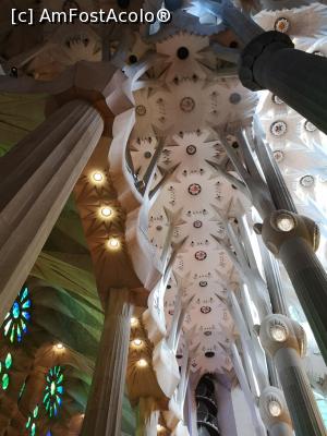 [P27] Sagrada Familia (interior)  » foto by crismis
 - 
<span class="allrVoted glyphicon glyphicon-heart hidden" id="av1141994"></span>
<a class="m-l-10 hidden" id="sv1141994" onclick="voting_Foto_DelVot(,1141994,26107)" role="button">șterge vot <span class="glyphicon glyphicon-remove"></span></a>
<a id="v91141994" class=" c-red"  onclick="voting_Foto_SetVot(1141994)" role="button"><span class="glyphicon glyphicon-heart-empty"></span> <b>LIKE</b> = Votează poza</a> <img class="hidden"  id="f1141994W9" src="/imagini/loader.gif" border="0" /><span class="AjErrMes hidden" id="e1141994ErM"></span>