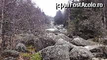 [P09] Zlatnite Mostove (The Golden Bridges) numit și ''râul de piatră'' (începe la altitudinea de cca 1350m până la 1500m), fiind rezultată în urma unui fenomen natural. Galbenul mai pe la vară...  » foto by Nasshu
 - 
<span class="allrVoted glyphicon glyphicon-heart hidden" id="av412389"></span>
<a class="m-l-10 hidden" id="sv412389" onclick="voting_Foto_DelVot(,412389,26117)" role="button">șterge vot <span class="glyphicon glyphicon-remove"></span></a>
<a id="v9412389" class=" c-red"  onclick="voting_Foto_SetVot(412389)" role="button"><span class="glyphicon glyphicon-heart-empty"></span> <b>LIKE</b> = Votează poza</a> <img class="hidden"  id="f412389W9" src="/imagini/loader.gif" border="0" /><span class="AjErrMes hidden" id="e412389ErM"></span>