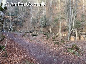 P08 [DEC-2022] Cascada Pruncea de pe Râul Cașoca – spre cascadă. O auzeam, dar încă nu o vedeam