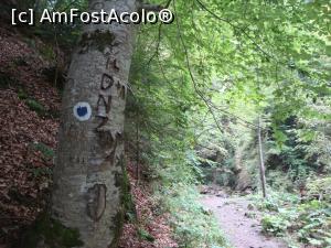 [P18] Se observă marcajul spre cascada Cașoca. Căderea de apă este tot mai aproape! Deja îi auzeam vuietul! » foto by Floryn81
 - 
<span class="allrVoted glyphicon glyphicon-heart hidden" id="av814089"></span>
<a class="m-l-10 hidden" id="sv814089" onclick="voting_Foto_DelVot(,814089,26151)" role="button">șterge vot <span class="glyphicon glyphicon-remove"></span></a>
<a id="v9814089" class=" c-red"  onclick="voting_Foto_SetVot(814089)" role="button"><span class="glyphicon glyphicon-heart-empty"></span> <b>LIKE</b> = Votează poza</a> <img class="hidden"  id="f814089W9" src="/imagini/loader.gif" border="0" /><span class="AjErrMes hidden" id="e814089ErM"></span>