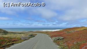 [P14] California » foto by dop.tirbuson
 - 
<span class="allrVoted glyphicon glyphicon-heart hidden" id="av1530679"></span>
<a class="m-l-10 hidden" id="sv1530679" onclick="voting_Foto_DelVot(,1530679,26207)" role="button">șterge vot <span class="glyphicon glyphicon-remove"></span></a>
<a id="v91530679" class=" c-red"  onclick="voting_Foto_SetVot(1530679)" role="button"><span class="glyphicon glyphicon-heart-empty"></span> <b>LIKE</b> = Votează poza</a> <img class="hidden"  id="f1530679W9" src="/imagini/loader.gif" border="0" /><span class="AjErrMes hidden" id="e1530679ErM"></span>