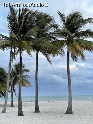 [P16] Florida » foto by dop.tirbuson
 - 
<span class="allrVoted glyphicon glyphicon-heart hidden" id="av1530681"></span>
<a class="m-l-10 hidden" id="sv1530681" onclick="voting_Foto_DelVot(,1530681,26207)" role="button">șterge vot <span class="glyphicon glyphicon-remove"></span></a>
<a id="v91530681" class=" c-red"  onclick="voting_Foto_SetVot(1530681)" role="button"><span class="glyphicon glyphicon-heart-empty"></span> <b>LIKE</b> = Votează poza</a> <img class="hidden"  id="f1530681W9" src="/imagini/loader.gif" border="0" /><span class="AjErrMes hidden" id="e1530681ErM"></span>