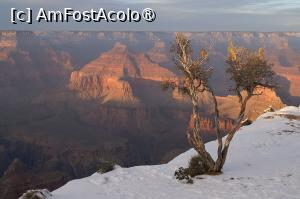 [P25] Grand Canyon » foto by dop.tirbuson
 - 
<span class="allrVoted glyphicon glyphicon-heart hidden" id="av1530690"></span>
<a class="m-l-10 hidden" id="sv1530690" onclick="voting_Foto_DelVot(,1530690,26207)" role="button">șterge vot <span class="glyphicon glyphicon-remove"></span></a>
<a id="v91530690" class=" c-red"  onclick="voting_Foto_SetVot(1530690)" role="button"><span class="glyphicon glyphicon-heart-empty"></span> <b>LIKE</b> = Votează poza</a> <img class="hidden"  id="f1530690W9" src="/imagini/loader.gif" border="0" /><span class="AjErrMes hidden" id="e1530690ErM"></span>