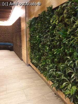 [P06] holul de la parter » foto by robert
 - 
<span class="allrVoted glyphicon glyphicon-heart hidden" id="av1150220"></span>
<a class="m-l-10 hidden" id="sv1150220" onclick="voting_Foto_DelVot(,1150220,26211)" role="button">șterge vot <span class="glyphicon glyphicon-remove"></span></a>
<a id="v91150220" class=" c-red"  onclick="voting_Foto_SetVot(1150220)" role="button"><span class="glyphicon glyphicon-heart-empty"></span> <b>LIKE</b> = Votează poza</a> <img class="hidden"  id="f1150220W9" src="/imagini/loader.gif" border="0" /><span class="AjErrMes hidden" id="e1150220ErM"></span>