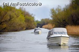 [P09] Excursie pe lacuri si canale în Deltă » foto by pepsi70ro
 - 
<span class="allrVoted glyphicon glyphicon-heart hidden" id="av1151655"></span>
<a class="m-l-10 hidden" id="sv1151655" onclick="voting_Foto_DelVot(,1151655,26229)" role="button">șterge vot <span class="glyphicon glyphicon-remove"></span></a>
<a id="v91151655" class=" c-red"  onclick="voting_Foto_SetVot(1151655)" role="button"><span class="glyphicon glyphicon-heart-empty"></span> <b>LIKE</b> = Votează poza</a> <img class="hidden"  id="f1151655W9" src="/imagini/loader.gif" border="0" /><span class="AjErrMes hidden" id="e1151655ErM"></span>