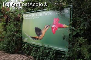 P01 [JAN-2019] Puerto de Iguazu, Jardín de los Picaflores (Grădina Păsărilor Colibri)