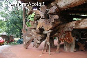 [P32] Puerto Iguazu, Complex Turistic Aripuca, Capcana Aripuca, Exterior, Artă și meserie la construcția acesteia, trunchiuri de copac suprapuse...  » foto by mprofeanu
 - 
<span class="allrVoted glyphicon glyphicon-heart hidden" id="av1156819"></span>
<a class="m-l-10 hidden" id="sv1156819" onclick="voting_Foto_DelVot(,1156819,26268)" role="button">șterge vot <span class="glyphicon glyphicon-remove"></span></a>
<a id="v91156819" class=" c-red"  onclick="voting_Foto_SetVot(1156819)" role="button"><span class="glyphicon glyphicon-heart-empty"></span> <b>LIKE</b> = Votează poza</a> <img class="hidden"  id="f1156819W9" src="/imagini/loader.gif" border="0" /><span class="AjErrMes hidden" id="e1156819ErM"></span>