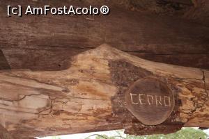 [P38] Puerto Iguazu, Complex Turistic Aripuca, Capcana Aripuca, Trunchi de Cedro » foto by mprofeanu
 - 
<span class="allrVoted glyphicon glyphicon-heart hidden" id="av1156825"></span>
<a class="m-l-10 hidden" id="sv1156825" onclick="voting_Foto_DelVot(,1156825,26268)" role="button">șterge vot <span class="glyphicon glyphicon-remove"></span></a>
<a id="v91156825" class=" c-red"  onclick="voting_Foto_SetVot(1156825)" role="button"><span class="glyphicon glyphicon-heart-empty"></span> <b>LIKE</b> = Votează poza</a> <img class="hidden"  id="f1156825W9" src="/imagini/loader.gif" border="0" /><span class="AjErrMes hidden" id="e1156825ErM"></span>