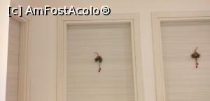 [P06] Uşile celor trei camere ale proprietăţii B&B Caruso. A noastră a fost cea din stânga » foto by irinad
 - 
<span class="allrVoted glyphicon glyphicon-heart hidden" id="av1157723"></span>
<a class="m-l-10 hidden" id="sv1157723" onclick="voting_Foto_DelVot(,1157723,26273)" role="button">șterge vot <span class="glyphicon glyphicon-remove"></span></a>
<a id="v91157723" class=" c-red"  onclick="voting_Foto_SetVot(1157723)" role="button"><span class="glyphicon glyphicon-heart-empty"></span> <b>LIKE</b> = Votează poza</a> <img class="hidden"  id="f1157723W9" src="/imagini/loader.gif" border="0" /><span class="AjErrMes hidden" id="e1157723ErM"></span>