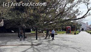 [P06] Ficusul istoric susținut de statueta numită Atlas și un muzicant pe care l-am recunoscut și a doua zi » foto by AZE
 - 
<span class="allrVoted glyphicon glyphicon-heart hidden" id="av1534008"></span>
<a class="m-l-10 hidden" id="sv1534008" onclick="voting_Foto_DelVot(,1534008,26304)" role="button">șterge vot <span class="glyphicon glyphicon-remove"></span></a>
<a id="v91534008" class=" c-red"  onclick="voting_Foto_SetVot(1534008)" role="button"><span class="glyphicon glyphicon-heart-empty"></span> <b>LIKE</b> = Votează poza</a> <img class="hidden"  id="f1534008W9" src="/imagini/loader.gif" border="0" /><span class="AjErrMes hidden" id="e1534008ErM"></span>