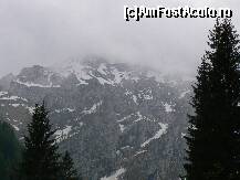 [P13] Roßfeld-Panoramastraße » foto by sigcristina
 - 
<span class="allrVoted glyphicon glyphicon-heart hidden" id="av296411"></span>
<a class="m-l-10 hidden" id="sv296411" onclick="voting_Foto_DelVot(,296411,26314)" role="button">șterge vot <span class="glyphicon glyphicon-remove"></span></a>
<a id="v9296411" class=" c-red"  onclick="voting_Foto_SetVot(296411)" role="button"><span class="glyphicon glyphicon-heart-empty"></span> <b>LIKE</b> = Votează poza</a> <img class="hidden"  id="f296411W9" src="/imagini/loader.gif" border="0" /><span class="AjErrMes hidden" id="e296411ErM"></span>