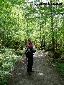 [P08] Drumul prin padure » foto by sigcristina
 - 
<span class="allrVoted glyphicon glyphicon-heart hidden" id="av296406"></span>
<a class="m-l-10 hidden" id="sv296406" onclick="voting_Foto_DelVot(,296406,26314)" role="button">șterge vot <span class="glyphicon glyphicon-remove"></span></a>
<a id="v9296406" class=" c-red"  onclick="voting_Foto_SetVot(296406)" role="button"><span class="glyphicon glyphicon-heart-empty"></span> <b>LIKE</b> = Votează poza</a> <img class="hidden"  id="f296406W9" src="/imagini/loader.gif" border="0" /><span class="AjErrMes hidden" id="e296406ErM"></span>