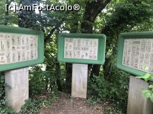 [P39] Zoo Linz - asa erau aceste panouri din piatra » foto by mishu
 - 
<span class="allrVoted glyphicon glyphicon-heart hidden" id="av1166852"></span>
<a class="m-l-10 hidden" id="sv1166852" onclick="voting_Foto_DelVot(,1166852,26343)" role="button">șterge vot <span class="glyphicon glyphicon-remove"></span></a>
<a id="v91166852" class=" c-red"  onclick="voting_Foto_SetVot(1166852)" role="button"><span class="glyphicon glyphicon-heart-empty"></span> <b>LIKE</b> = Votează poza</a> <img class="hidden"  id="f1166852W9" src="/imagini/loader.gif" border="0" /><span class="AjErrMes hidden" id="e1166852ErM"></span>