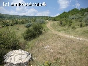 [P29] O piatră sculptată de lângă drum ne anunță că am ajuns în zona unde a fost descoperit tezaurul ”Cloșca cu puii de aur” de la Pietroasele.  » foto by Floryn81
 - 
<span class="allrVoted glyphicon glyphicon-heart hidden" id="av767640"></span>
<a class="m-l-10 hidden" id="sv767640" onclick="voting_Foto_DelVot(,767640,26347)" role="button">șterge vot <span class="glyphicon glyphicon-remove"></span></a>
<a id="v9767640" class=" c-red"  onclick="voting_Foto_SetVot(767640)" role="button"><span class="glyphicon glyphicon-heart-empty"></span> <b>LIKE</b> = Votează poza</a> <img class="hidden"  id="f767640W9" src="/imagini/loader.gif" border="0" /><span class="AjErrMes hidden" id="e767640ErM"></span>