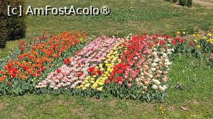 [P09]  -- <small>// FĂRĂ DESCRIERE</small> » foto by hd88gsg
 - 
<span class="allrVoted glyphicon glyphicon-heart hidden" id="av1523787"></span>
<a class="m-l-10 hidden" id="sv1523787" onclick="voting_Foto_DelVot(,1523787,26461)" role="button">șterge vot <span class="glyphicon glyphicon-remove"></span></a>
<a id="v91523787" class=" c-red"  onclick="voting_Foto_SetVot(1523787)" role="button"><span class="glyphicon glyphicon-heart-empty"></span> <b>LIKE</b> = Votează poza</a> <img class="hidden"  id="f1523787W9" src="/imagini/loader.gif" border="0" /><span class="AjErrMes hidden" id="e1523787ErM"></span>