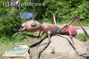 [P08]  -- <small>// FĂRĂ DESCRIERE</small> » foto by pepsi70ro
 - 
<span class="allrVoted glyphicon glyphicon-heart hidden" id="av1499574"></span>
<a class="m-l-10 hidden" id="sv1499574" onclick="voting_Foto_DelVot(,1499574,26478)" role="button">șterge vot <span class="glyphicon glyphicon-remove"></span></a>
<a id="v91499574" class=" c-red"  onclick="voting_Foto_SetVot(1499574)" role="button"><span class="glyphicon glyphicon-heart-empty"></span> <b>LIKE</b> = Votează poza</a> <img class="hidden"  id="f1499574W9" src="/imagini/loader.gif" border="0" /><span class="AjErrMes hidden" id="e1499574ErM"></span>