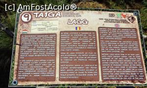 [P12] În această staţie sunteţi invitat să vă îmbogăţiţi vocabularul cu termenul suedez 'lagg' care desemnează centura mlăştinoasă care înconjoară un tinov » foto by Lucien
 - 
<span class="allrVoted glyphicon glyphicon-heart hidden" id="av728596"></span>
<a class="m-l-10 hidden" id="sv728596" onclick="voting_Foto_DelVot(,728596,26498)" role="button">șterge vot <span class="glyphicon glyphicon-remove"></span></a>
<a id="v9728596" class=" c-red"  onclick="voting_Foto_SetVot(728596)" role="button"><span class="glyphicon glyphicon-heart-empty"></span> <b>LIKE</b> = Votează poza</a> <img class="hidden"  id="f728596W9" src="/imagini/loader.gif" border="0" /><span class="AjErrMes hidden" id="e728596ErM"></span>