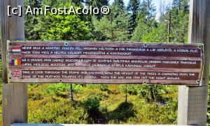 [P06] În această staţie descoperiţi că arborii din tinov au înălţimi din ce în ce mai mici pe măsura avansării spre centrul turbăriei » foto by Lucien
 - 
<span class="allrVoted glyphicon glyphicon-heart hidden" id="av728590"></span>
<a class="m-l-10 hidden" id="sv728590" onclick="voting_Foto_DelVot(,728590,26498)" role="button">șterge vot <span class="glyphicon glyphicon-remove"></span></a>
<a id="v9728590" class=" c-red"  onclick="voting_Foto_SetVot(728590)" role="button"><span class="glyphicon glyphicon-heart-empty"></span> <b>LIKE</b> = Votează poza</a> <img class="hidden"  id="f728590W9" src="/imagini/loader.gif" border="0" /><span class="AjErrMes hidden" id="e728590ErM"></span>