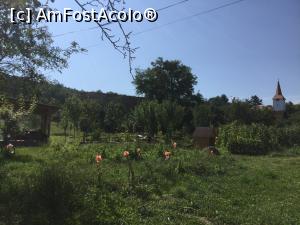 [P50] Bicfalau - Iar curtea este chiar generoasa » foto by mishu
 - 
<span class="allrVoted glyphicon glyphicon-heart hidden" id="av1183873"></span>
<a class="m-l-10 hidden" id="sv1183873" onclick="voting_Foto_DelVot(,1183873,26518)" role="button">șterge vot <span class="glyphicon glyphicon-remove"></span></a>
<a id="v91183873" class=" c-red"  onclick="voting_Foto_SetVot(1183873)" role="button"><span class="glyphicon glyphicon-heart-empty"></span> <b>LIKE</b> = Votează poza</a> <img class="hidden"  id="f1183873W9" src="/imagini/loader.gif" border="0" /><span class="AjErrMes hidden" id="e1183873ErM"></span>