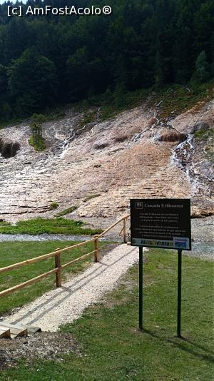 [P05] Cascada Urlatoarea Vama Buzaului » foto by Ffrom
 - 
<span class="allrVoted glyphicon glyphicon-heart hidden" id="av1099454"></span>
<a class="m-l-10 hidden" id="sv1099454" onclick="voting_Foto_DelVot(,1099454,26518)" role="button">șterge vot <span class="glyphicon glyphicon-remove"></span></a>
<a id="v91099454" class=" c-red"  onclick="voting_Foto_SetVot(1099454)" role="button"><span class="glyphicon glyphicon-heart-empty"></span> <b>LIKE</b> = Votează poza</a> <img class="hidden"  id="f1099454W9" src="/imagini/loader.gif" border="0" /><span class="AjErrMes hidden" id="e1099454ErM"></span>