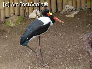 P18 [SEP-2019] Parcul tematic MundoMar din Benidorm