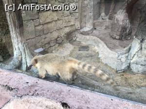 P27 [SEP-2019] Parcul tematic MundoMar din Benidorm - coati