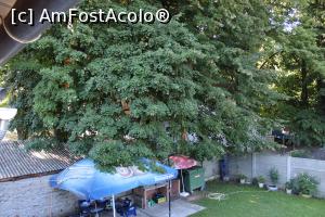 [P28] Sasca Montană, Casa Borcean, Curtea, Colțul util văzut din balcon dar și coroanele arborilor imenși » foto by mprofeanu
 - 
<span class="allrVoted glyphicon glyphicon-heart hidden" id="av1190502"></span>
<a class="m-l-10 hidden" id="sv1190502" onclick="voting_Foto_DelVot(,1190502,26576)" role="button">șterge vot <span class="glyphicon glyphicon-remove"></span></a>
<a id="v91190502" class=" c-red"  onclick="voting_Foto_SetVot(1190502)" role="button"><span class="glyphicon glyphicon-heart-empty"></span> <b>LIKE</b> = Votează poza</a> <img class="hidden"  id="f1190502W9" src="/imagini/loader.gif" border="0" /><span class="AjErrMes hidden" id="e1190502ErM"></span>