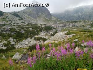 P36 [AUG-2020] De la un lac la altul prin Masivul Rila.