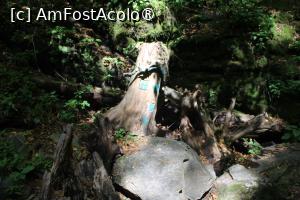 [P14] Poteca turistică spre Cascada Scoruș, Mălaia, Trunchi de copac cu ornamente albastre » foto by mprofeanu
 - 
<span class="allrVoted glyphicon glyphicon-heart hidden" id="av1392498"></span>
<a class="m-l-10 hidden" id="sv1392498" onclick="voting_Foto_DelVot(,1392498,26611)" role="button">șterge vot <span class="glyphicon glyphicon-remove"></span></a>
<a id="v91392498" class=" c-red"  onclick="voting_Foto_SetVot(1392498)" role="button"><span class="glyphicon glyphicon-heart-empty"></span> <b>LIKE</b> = Votează poza</a> <img class="hidden"  id="f1392498W9" src="/imagini/loader.gif" border="0" /><span class="AjErrMes hidden" id="e1392498ErM"></span>