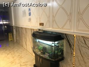 [P26] Aksu Hotel Yenişakran - acvariu în recepţie » foto by nicole33
 - 
<span class="allrVoted glyphicon glyphicon-heart hidden" id="av1196771"></span>
<a class="m-l-10 hidden" id="sv1196771" onclick="voting_Foto_DelVot(,1196771,26616)" role="button">șterge vot <span class="glyphicon glyphicon-remove"></span></a>
<a id="v91196771" class=" c-red"  onclick="voting_Foto_SetVot(1196771)" role="button"><span class="glyphicon glyphicon-heart-empty"></span> <b>LIKE</b> = Votează poza</a> <img class="hidden"  id="f1196771W9" src="/imagini/loader.gif" border="0" /><span class="AjErrMes hidden" id="e1196771ErM"></span>