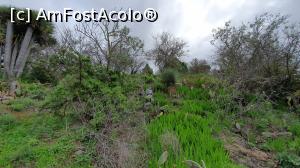 [P02] Las Tricias ...către grote » foto by cristian pinte
 - 
<span class="allrVoted glyphicon glyphicon-heart hidden" id="av1214687"></span>
<a class="m-l-10 hidden" id="sv1214687" onclick="voting_Foto_DelVot(,1214687,26719)" role="button">șterge vot <span class="glyphicon glyphicon-remove"></span></a>
<a id="v91214687" class=" c-red"  onclick="voting_Foto_SetVot(1214687)" role="button"><span class="glyphicon glyphicon-heart-empty"></span> <b>LIKE</b> = Votează poza</a> <img class="hidden"  id="f1214687W9" src="/imagini/loader.gif" border="0" /><span class="AjErrMes hidden" id="e1214687ErM"></span>