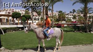 [P27] vedere din resort, hotelul are un ranch horse » foto by elenaadina
 - 
<span class="allrVoted glyphicon glyphicon-heart hidden" id="av1300055"></span>
<a class="m-l-10 hidden" id="sv1300055" onclick="voting_Foto_DelVot(,1300055,26742)" role="button">șterge vot <span class="glyphicon glyphicon-remove"></span></a>
<a id="v91300055" class=" c-red"  onclick="voting_Foto_SetVot(1300055)" role="button"><span class="glyphicon glyphicon-heart-empty"></span> <b>LIKE</b> = Votează poza</a> <img class="hidden"  id="f1300055W9" src="/imagini/loader.gif" border="0" /><span class="AjErrMes hidden" id="e1300055ErM"></span>