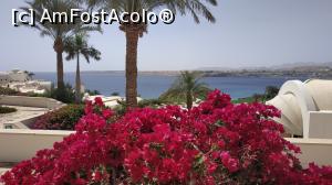 [P29] vedere din resort » foto by elenaadina
 - 
<span class="allrVoted glyphicon glyphicon-heart hidden" id="av1300057"></span>
<a class="m-l-10 hidden" id="sv1300057" onclick="voting_Foto_DelVot(,1300057,26742)" role="button">șterge vot <span class="glyphicon glyphicon-remove"></span></a>
<a id="v91300057" class=" c-red"  onclick="voting_Foto_SetVot(1300057)" role="button"><span class="glyphicon glyphicon-heart-empty"></span> <b>LIKE</b> = Votează poza</a> <img class="hidden"  id="f1300057W9" src="/imagini/loader.gif" border="0" /><span class="AjErrMes hidden" id="e1300057ErM"></span>