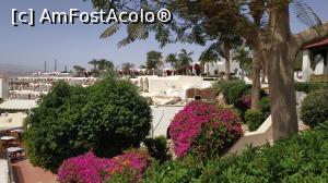 [P34] vedere din resort » foto by elenaadina
 - 
<span class="allrVoted glyphicon glyphicon-heart hidden" id="av1300062"></span>
<a class="m-l-10 hidden" id="sv1300062" onclick="voting_Foto_DelVot(,1300062,26742)" role="button">șterge vot <span class="glyphicon glyphicon-remove"></span></a>
<a id="v91300062" class=" c-red"  onclick="voting_Foto_SetVot(1300062)" role="button"><span class="glyphicon glyphicon-heart-empty"></span> <b>LIKE</b> = Votează poza</a> <img class="hidden"  id="f1300062W9" src="/imagini/loader.gif" border="0" /><span class="AjErrMes hidden" id="e1300062ErM"></span>