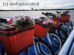 [P22] Bicicletele Dianei » foto by crismis
 - 
<span class="allrVoted glyphicon glyphicon-heart hidden" id="av1233968"></span>
<a class="m-l-10 hidden" id="sv1233968" onclick="voting_Foto_DelVot(,1233968,26760)" role="button">șterge vot <span class="glyphicon glyphicon-remove"></span></a>
<a id="v91233968" class=" c-red"  onclick="voting_Foto_SetVot(1233968)" role="button"><span class="glyphicon glyphicon-heart-empty"></span> <b>LIKE</b> = Votează poza</a> <img class="hidden"  id="f1233968W9" src="/imagini/loader.gif" border="0" /><span class="AjErrMes hidden" id="e1233968ErM"></span>