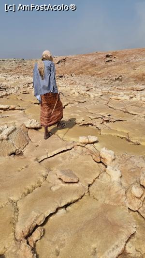 [P21] ghidul afar » foto by robert
 - 
<span class="allrVoted glyphicon glyphicon-heart hidden" id="av1227529"></span>
<a class="m-l-10 hidden" id="sv1227529" onclick="voting_Foto_DelVot(,1227529,26770)" role="button">șterge vot <span class="glyphicon glyphicon-remove"></span></a>
<a id="v91227529" class=" c-red"  onclick="voting_Foto_SetVot(1227529)" role="button"><span class="glyphicon glyphicon-heart-empty"></span> <b>LIKE</b> = Votează poza</a> <img class="hidden"  id="f1227529W9" src="/imagini/loader.gif" border="0" /><span class="AjErrMes hidden" id="e1227529ErM"></span>