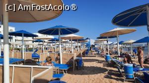 [P05] plaja Albatros in cursul diminetii » foto by artemisa24
 - 
<span class="allrVoted glyphicon glyphicon-heart hidden" id="av1515023"></span>
<a class="m-l-10 hidden" id="sv1515023" onclick="voting_Foto_DelVot(,1515023,26773)" role="button">șterge vot <span class="glyphicon glyphicon-remove"></span></a>
<a id="v91515023" class=" c-red"  onclick="voting_Foto_SetVot(1515023)" role="button"><span class="glyphicon glyphicon-heart-empty"></span> <b>LIKE</b> = Votează poza</a> <img class="hidden"  id="f1515023W9" src="/imagini/loader.gif" border="0" /><span class="AjErrMes hidden" id="e1515023ErM"></span>