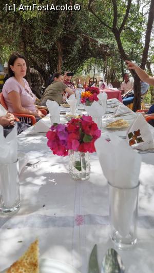 [P01] masa noastră câmpenească » foto by robert
 - 
<span class="allrVoted glyphicon glyphicon-heart hidden" id="av1225882"></span>
<a class="m-l-10 hidden" id="sv1225882" onclick="voting_Foto_DelVot(,1225882,26785)" role="button">șterge vot <span class="glyphicon glyphicon-remove"></span></a>
<a id="v91225882" class=" c-red"  onclick="voting_Foto_SetVot(1225882)" role="button"><span class="glyphicon glyphicon-heart-empty"></span> <b>LIKE</b> = Votează poza</a> <img class="hidden"  id="f1225882W9" src="/imagini/loader.gif" border="0" /><span class="AjErrMes hidden" id="e1225882ErM"></span>