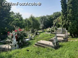 [P30] Cimitirul_ » foto by adso
 - 
<span class="allrVoted glyphicon glyphicon-heart hidden" id="av1238596"></span>
<a class="m-l-10 hidden" id="sv1238596" onclick="voting_Foto_DelVot(,1238596,26928)" role="button">șterge vot <span class="glyphicon glyphicon-remove"></span></a>
<a id="v91238596" class=" c-red"  onclick="voting_Foto_SetVot(1238596)" role="button"><span class="glyphicon glyphicon-heart-empty"></span> <b>LIKE</b> = Votează poza</a> <img class="hidden"  id="f1238596W9" src="/imagini/loader.gif" border="0" /><span class="AjErrMes hidden" id="e1238596ErM"></span>