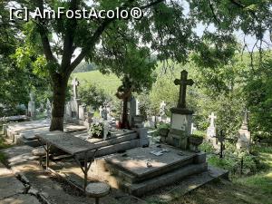 [P36] Cimitirul_ » foto by adso
 - 
<span class="allrVoted glyphicon glyphicon-heart hidden" id="av1238602"></span>
<a class="m-l-10 hidden" id="sv1238602" onclick="voting_Foto_DelVot(,1238602,26928)" role="button">șterge vot <span class="glyphicon glyphicon-remove"></span></a>
<a id="v91238602" class=" c-red"  onclick="voting_Foto_SetVot(1238602)" role="button"><span class="glyphicon glyphicon-heart-empty"></span> <b>LIKE</b> = Votează poza</a> <img class="hidden"  id="f1238602W9" src="/imagini/loader.gif" border="0" /><span class="AjErrMes hidden" id="e1238602ErM"></span>