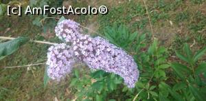 [P23] Mănăstirea Chiroiu, Ialomița » foto by Mioritik
 - 
<span class="allrVoted glyphicon glyphicon-heart hidden" id="av1240692"></span>
<a class="m-l-10 hidden" id="sv1240692" onclick="voting_Foto_DelVot(,1240692,26948)" role="button">șterge vot <span class="glyphicon glyphicon-remove"></span></a>
<a id="v91240692" class=" c-red"  onclick="voting_Foto_SetVot(1240692)" role="button"><span class="glyphicon glyphicon-heart-empty"></span> <b>LIKE</b> = Votează poza</a> <img class="hidden"  id="f1240692W9" src="/imagini/loader.gif" border="0" /><span class="AjErrMes hidden" id="e1240692ErM"></span>