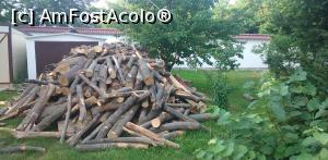 [P26] Mănăstirea Chiroiu, Ialomița » foto by Mioritik
 - 
<span class="allrVoted glyphicon glyphicon-heart hidden" id="av1240695"></span>
<a class="m-l-10 hidden" id="sv1240695" onclick="voting_Foto_DelVot(,1240695,26948)" role="button">șterge vot <span class="glyphicon glyphicon-remove"></span></a>
<a id="v91240695" class=" c-red"  onclick="voting_Foto_SetVot(1240695)" role="button"><span class="glyphicon glyphicon-heart-empty"></span> <b>LIKE</b> = Votează poza</a> <img class="hidden"  id="f1240695W9" src="/imagini/loader.gif" border="0" /><span class="AjErrMes hidden" id="e1240695ErM"></span>