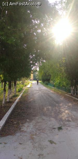 [P07] Mănăstirea Chiroiu, Ialomița » foto by Mioritik
 - 
<span class="allrVoted glyphicon glyphicon-heart hidden" id="av1240676"></span>
<a class="m-l-10 hidden" id="sv1240676" onclick="voting_Foto_DelVot(,1240676,26948)" role="button">șterge vot <span class="glyphicon glyphicon-remove"></span></a>
<a id="v91240676" class=" c-red"  onclick="voting_Foto_SetVot(1240676)" role="button"><span class="glyphicon glyphicon-heart-empty"></span> <b>LIKE</b> = Votează poza</a> <img class="hidden"  id="f1240676W9" src="/imagini/loader.gif" border="0" /><span class="AjErrMes hidden" id="e1240676ErM"></span>