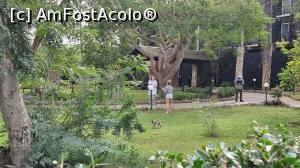 [P37] pe la hotel » foto by robert
 - 
<span class="allrVoted glyphicon glyphicon-heart hidden" id="av1251732"></span>
<a class="m-l-10 hidden" id="sv1251732" onclick="voting_Foto_DelVot(,1251732,27058)" role="button">șterge vot <span class="glyphicon glyphicon-remove"></span></a>
<a id="v91251732" class=" c-red"  onclick="voting_Foto_SetVot(1251732)" role="button"><span class="glyphicon glyphicon-heart-empty"></span> <b>LIKE</b> = Votează poza</a> <img class="hidden"  id="f1251732W9" src="/imagini/loader.gif" border="0" /><span class="AjErrMes hidden" id="e1251732ErM"></span>