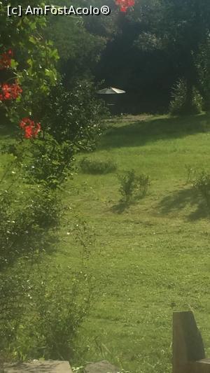 [P15] mini plaja » foto by grasu132
 - 
<span class="allrVoted glyphicon glyphicon-heart hidden" id="av1255383"></span>
<a class="m-l-10 hidden" id="sv1255383" onclick="voting_Foto_DelVot(,1255383,27087)" role="button">șterge vot <span class="glyphicon glyphicon-remove"></span></a>
<a id="v91255383" class=" c-red"  onclick="voting_Foto_SetVot(1255383)" role="button"><span class="glyphicon glyphicon-heart-empty"></span> <b>LIKE</b> = Votează poza</a> <img class="hidden"  id="f1255383W9" src="/imagini/loader.gif" border="0" /><span class="AjErrMes hidden" id="e1255383ErM"></span>