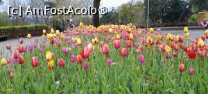 [P24] Parcul Emirgan Istanbul » foto by Yolanda
 - 
<span class="allrVoted glyphicon glyphicon-heart hidden" id="av1528825"></span>
<a class="m-l-10 hidden" id="sv1528825" onclick="voting_Foto_DelVot(,1528825,27088)" role="button">șterge vot <span class="glyphicon glyphicon-remove"></span></a>
<a id="v91528825" class=" c-red"  onclick="voting_Foto_SetVot(1528825)" role="button"><span class="glyphicon glyphicon-heart-empty"></span> <b>LIKE</b> = Votează poza</a> <img class="hidden"  id="f1528825W9" src="/imagini/loader.gif" border="0" /><span class="AjErrMes hidden" id="e1528825ErM"></span>