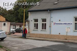 [P01] Košice, Útulný Apartman Kmeťova, Curtea de acces la apartament în stânga clădirii, Am fost Acolo » foto by mprofeanu
 - 
<span class="allrVoted glyphicon glyphicon-heart hidden" id="av1403891"></span>
<a class="m-l-10 hidden" id="sv1403891" onclick="voting_Foto_DelVot(,1403891,27296)" role="button">șterge vot <span class="glyphicon glyphicon-remove"></span></a>
<a id="v91403891" class=" c-red"  onclick="voting_Foto_SetVot(1403891)" role="button"><span class="glyphicon glyphicon-heart-empty"></span> <b>LIKE</b> = Votează poza</a> <img class="hidden"  id="f1403891W9" src="/imagini/loader.gif" border="0" /><span class="AjErrMes hidden" id="e1403891ErM"></span>